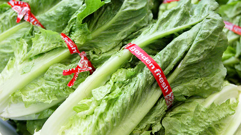 Romaine lettuce is shown in a file photo. (Justin Sullivan/Getty Images)