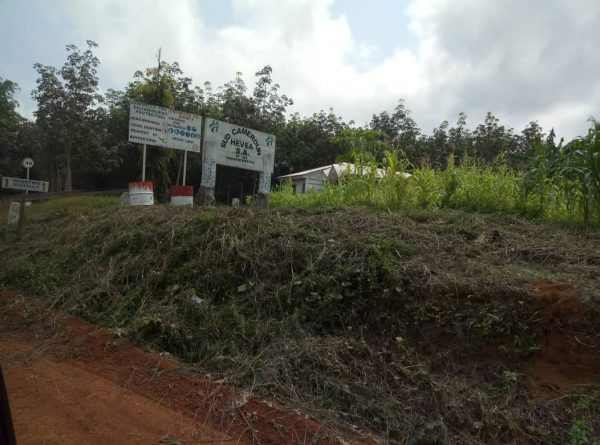 Entrance of Sudcam plantation in south Cameroon on Nov. 18, 2018. (By Amindeh Blaise Atabong/Special to The Epoch Times)