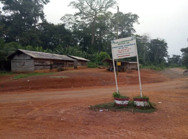 A Sud-Cameroun Hevea (Sudcam) sign in southern Cameroon on Nov. 18, 2018. (BY Amindeh Blaise Atabong/Special to The Epoch Times)