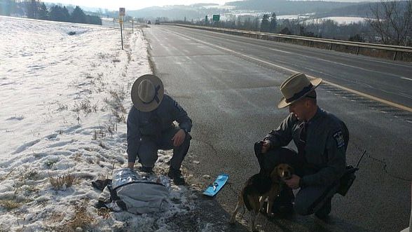 police dogs