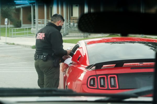 illegal immigration