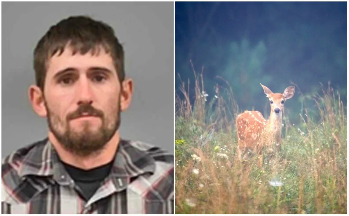 L: David Berry Jr. Berry was ordered to watch the Walt Disney movie at least once each month during his one-year jail sentence. (Lawerence County Sheriff via AP) R: Brown deer on grass. (Mathew Schwartz/Unsplash)