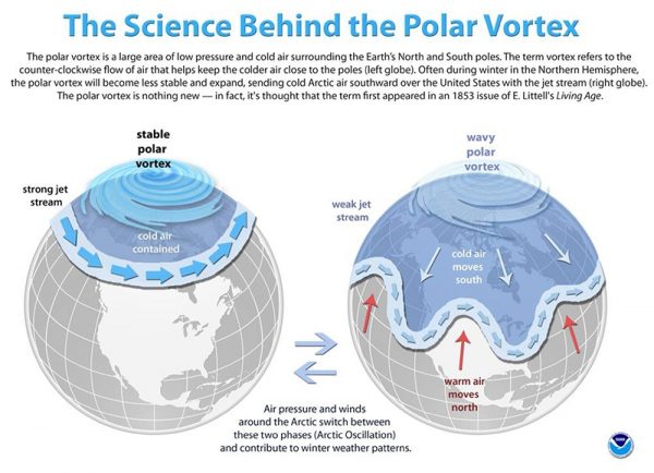 graphic of polar vortex