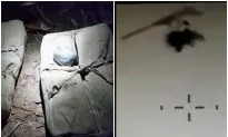 Ultralight Aircraft Drops 130 Pounds of Meth and Getaway Bike Over Mexico Border