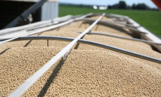 China Makes Second Purchase of US Soybeans Since Trade-War Truce, USDA Confirms