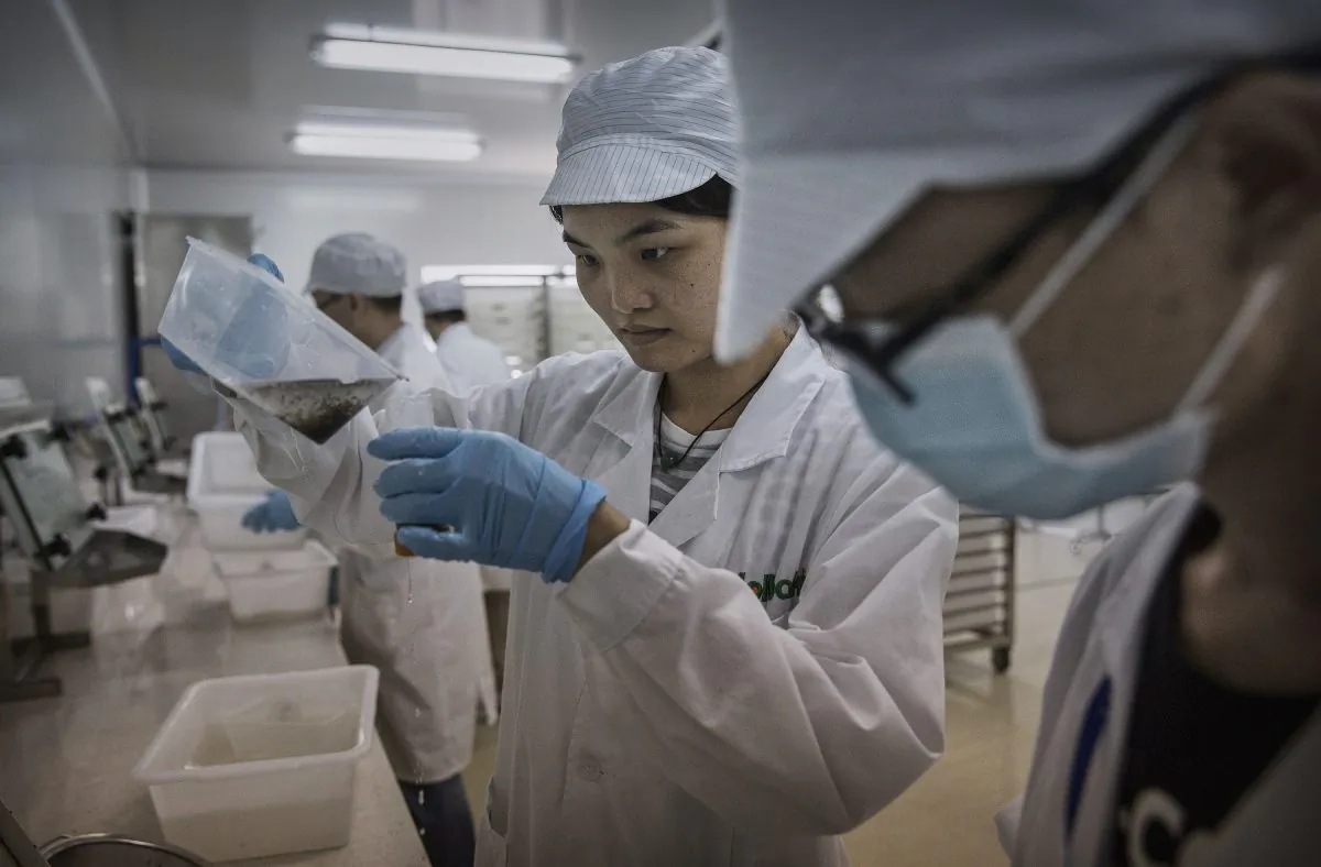 Chinese lab technicians at a lab for studying tropical diseases in Guangzhou City, Guangdong Province, China, on June 21, 2016. (Kevin Frayer/Getty Images)