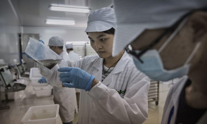 Chinese lab technicians at a lab for studying tropical diseases in Guangzhou City, Guangdong Province, China, on June 21, 2016. (Kevin Frayer/Getty Images)