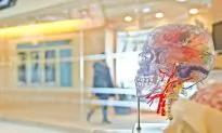 Dementia Reversed in Mice, Human Trials Set to Start After $10 Million Grant