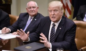 Trump to Curtail Waivers on Food Stamp Work Requirements