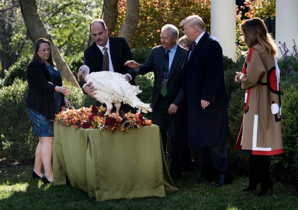 Trump and Melania turkey pardon 2018.