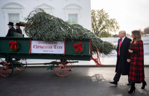 Trump and Melania at White House Christmas tree arrival.