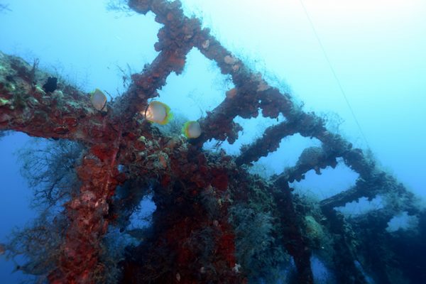 Articifical reef