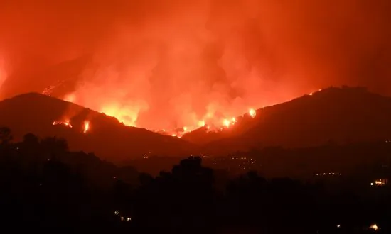 Trump Takes Steps to Prevent Catastrophic Fires, Including More Logging