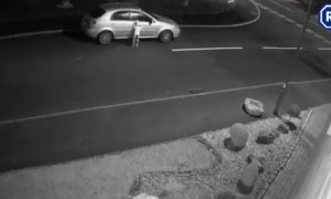 Video Shows Dog Being Abandoned on Side of Road 'At Christmas'