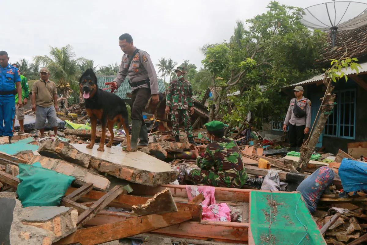 Rescue workers use a dog to search for victims among debris after a tsunami hit Sunda Strait at Rajabasa in South Lampung, Indonesia, on Dec. 25, 2018. (Reuters) 