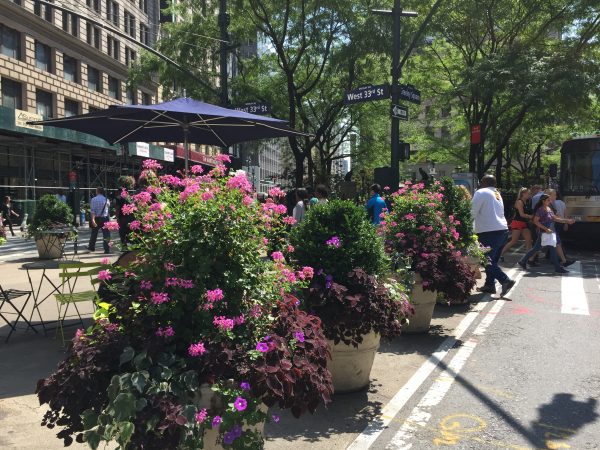 Flowers in Greeley Square