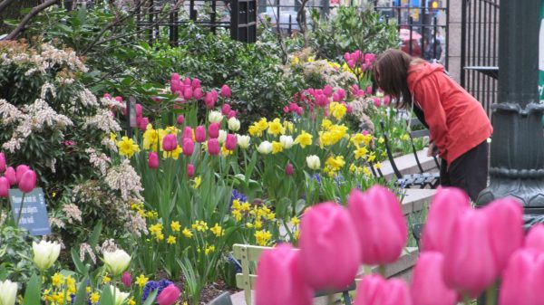 Woman admires flowers