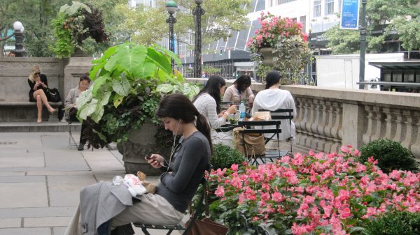 Woman by the flowers