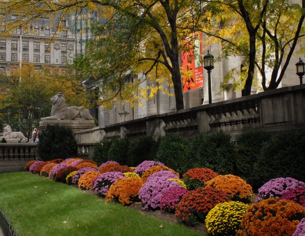 NYPL outside