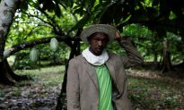 Venezuela’s Socialist Government Now Seizing Cocoa as ‘Outstanding’ Tax Payments