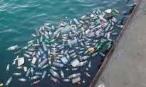 Small Oceanside Brewery Develops Edible Packaging for Beer