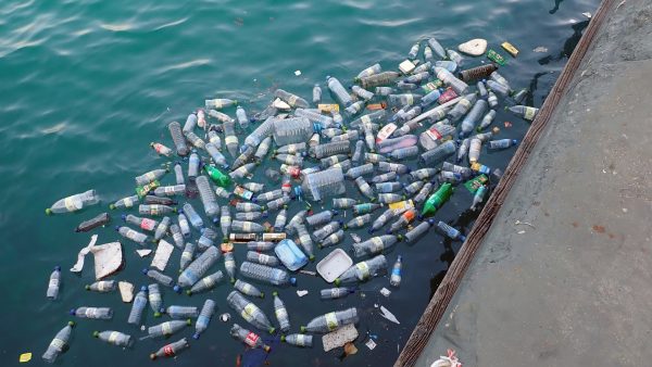 plastic bottles and cans are in the water