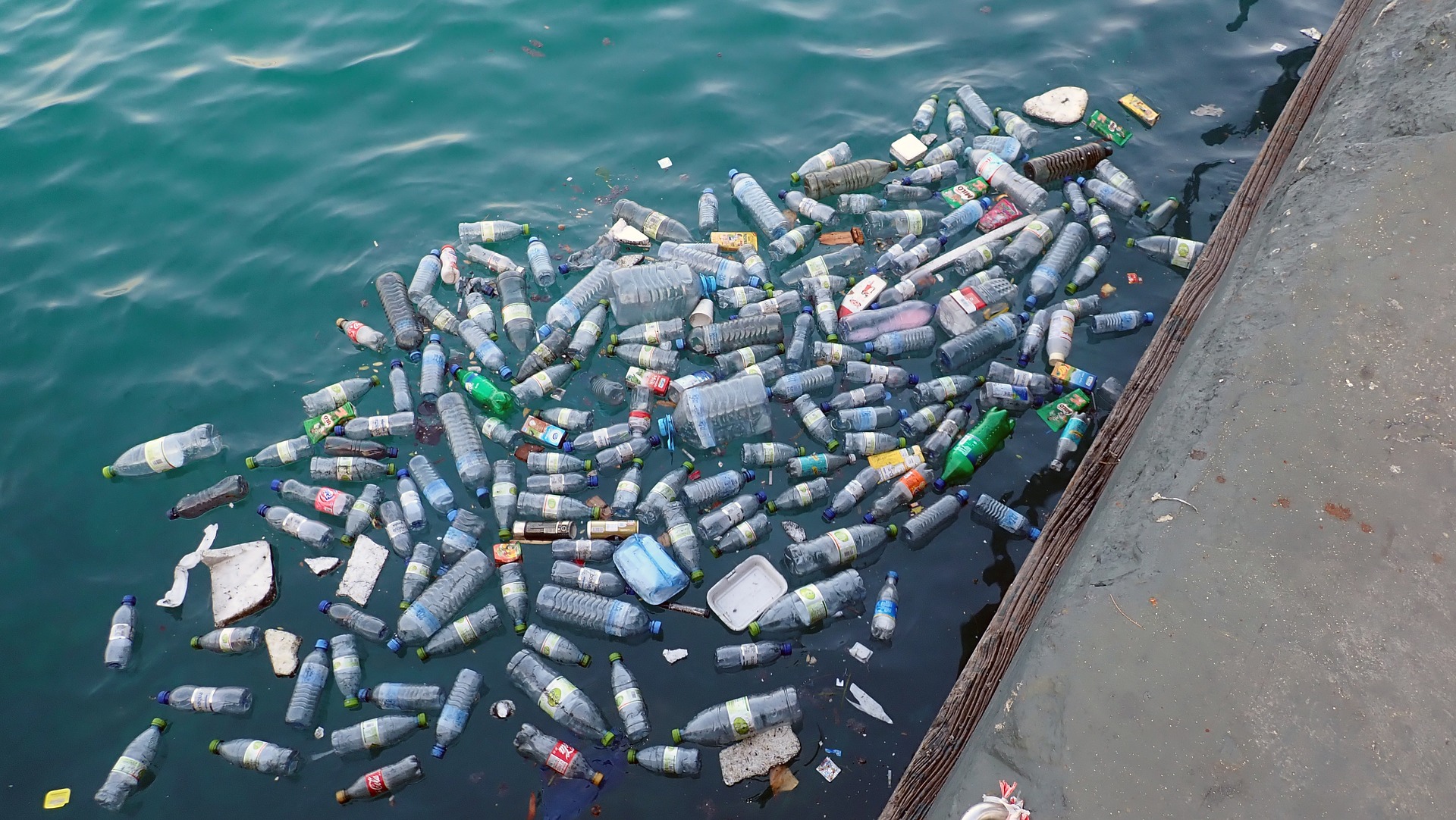 Plastic Entering Oceans Could Nearly Triple By 2040 If Left Unchecked - Vimarsana News