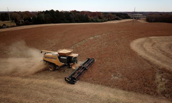 US and China Could Hold Trade Talks in Early January