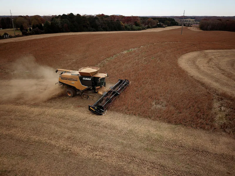 Farmer Lucas Richard of LFR Grain harvests a crop of soybeans at a farm in Hickory, North Carolina, on Nov. 29, 2018. (Charles Mostoller/Reuters)