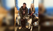 2 Dogs That Escaped Man’s Euthanasia Request Find New Home