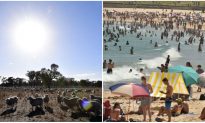 Australia Swelters Through Heatwave