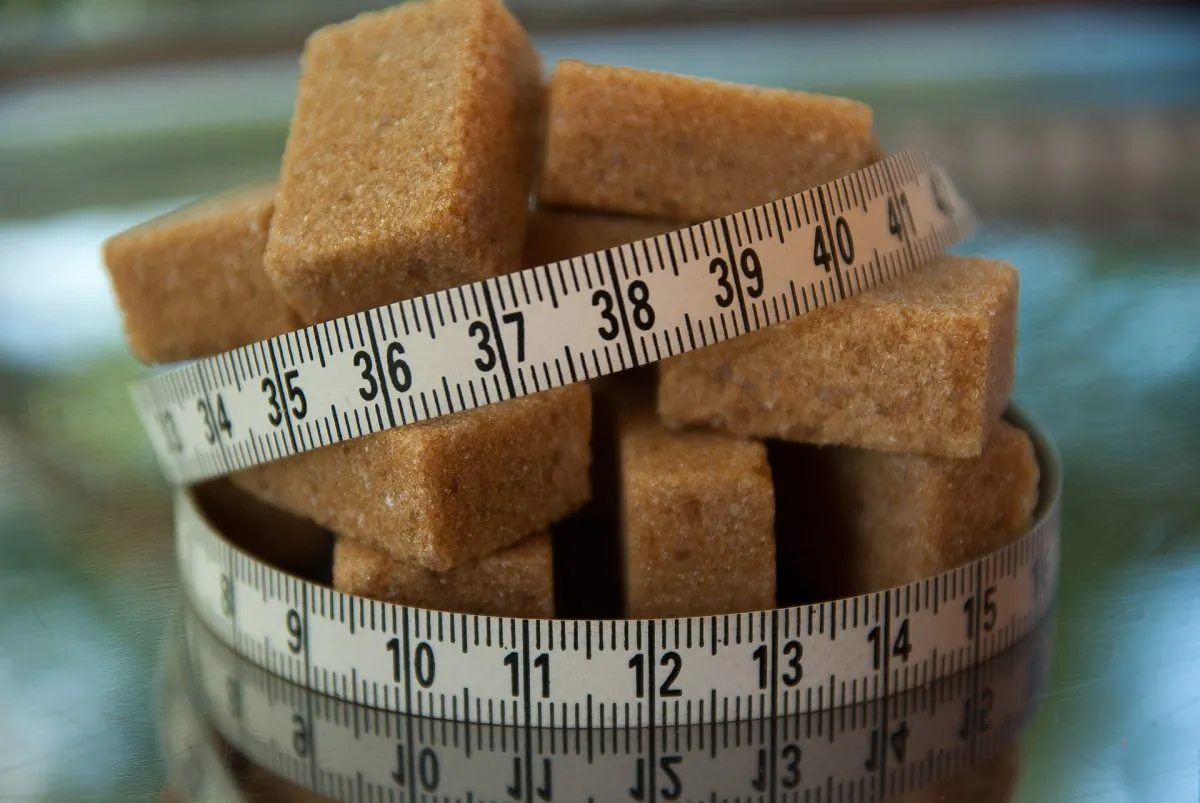 Is sugar to blame for the obesity crisis? (JacMac34/Pixabay.com)