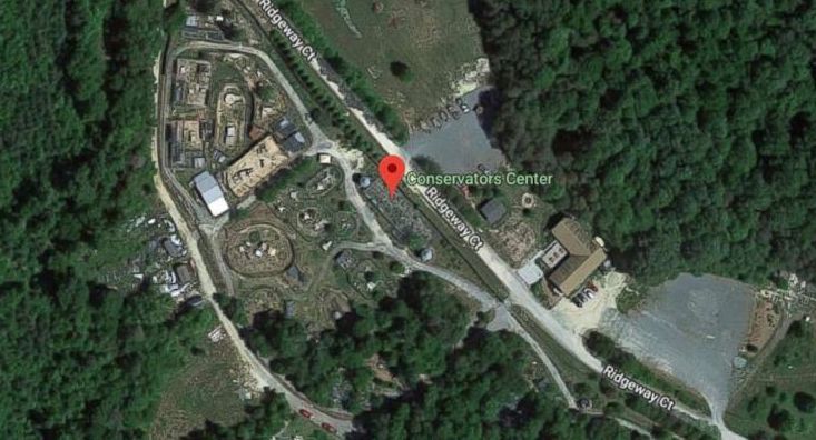 conservators center suffers lion attack