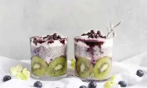 Probiotics 101: A Simple Beginner’s Guide