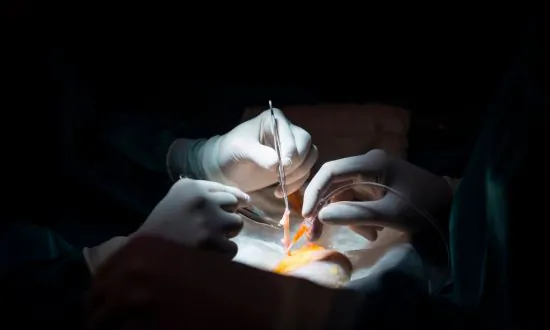 The Ethics of Xenotransplantation