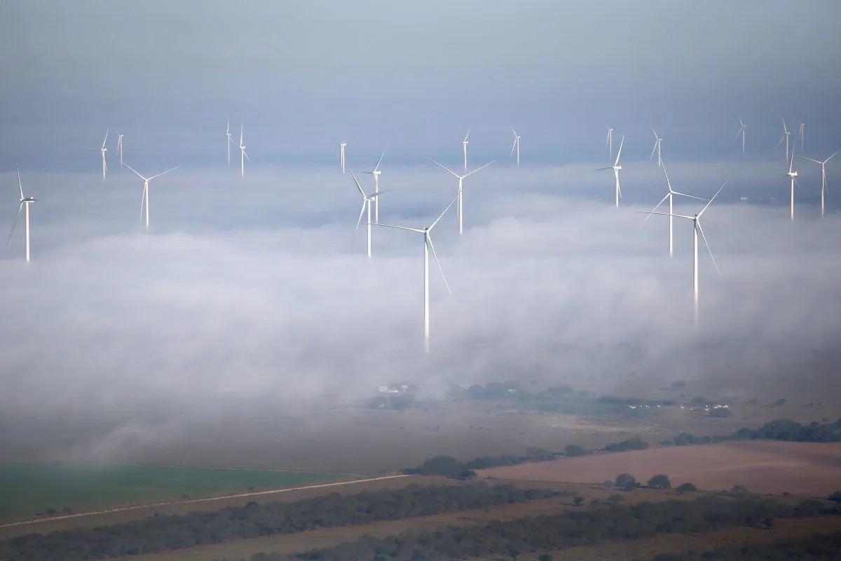 A fog lifts as windmills turn near La Grulla, Texas.(Photo by John Moore/Getty Images)