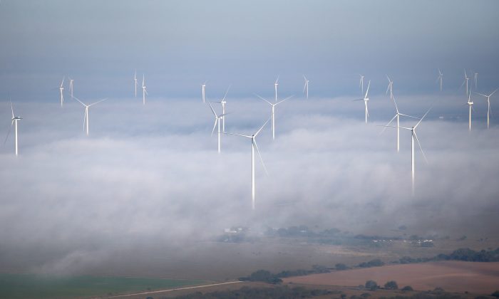 A fog lifts as windmills turn near La Grulla, Texas.(Photo by John Moore/Getty Images)