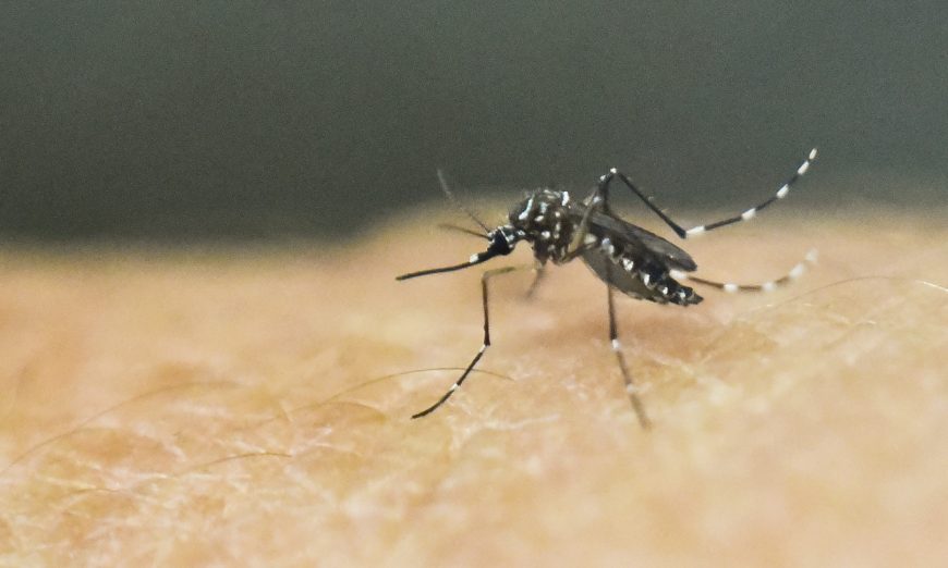 Massachusetts confirms initial human cases of West Nile Virus from mosquitoes.
