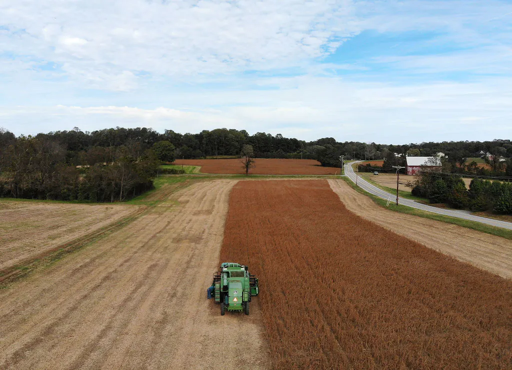 Farmer Mark Catterton drives a John Deere Harvester while harvesting soybeans during his fall harvest in Owings, Maryland on Oct. 19, 2018. (Mark Wilson/Getty Images)