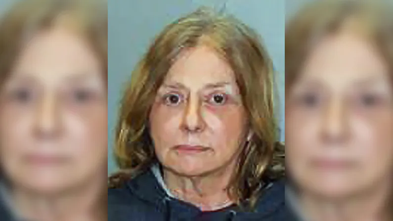 Laura A. Duffy of Willow, New York led state police on a 34-mile high-speed chase for what is so far an unknown reason. (New York State Police)