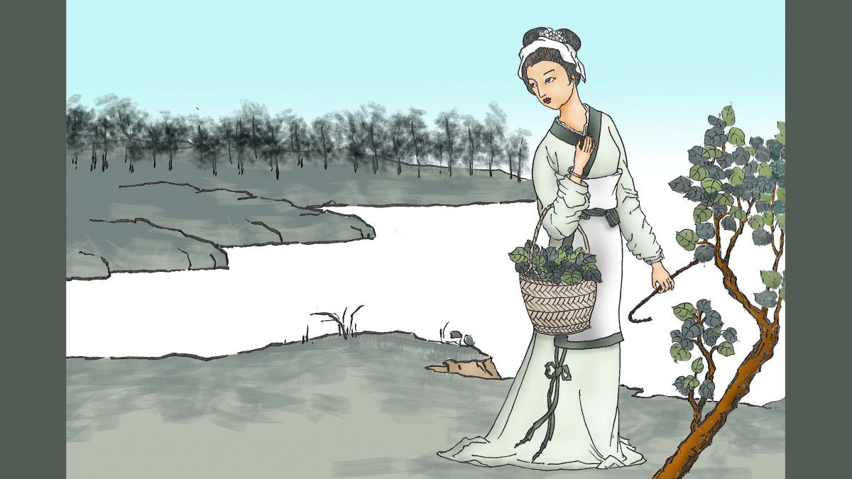  A girl picking leaves from a mulberry tree. (Illustration by Sun Mingguo/The Epoch Times)