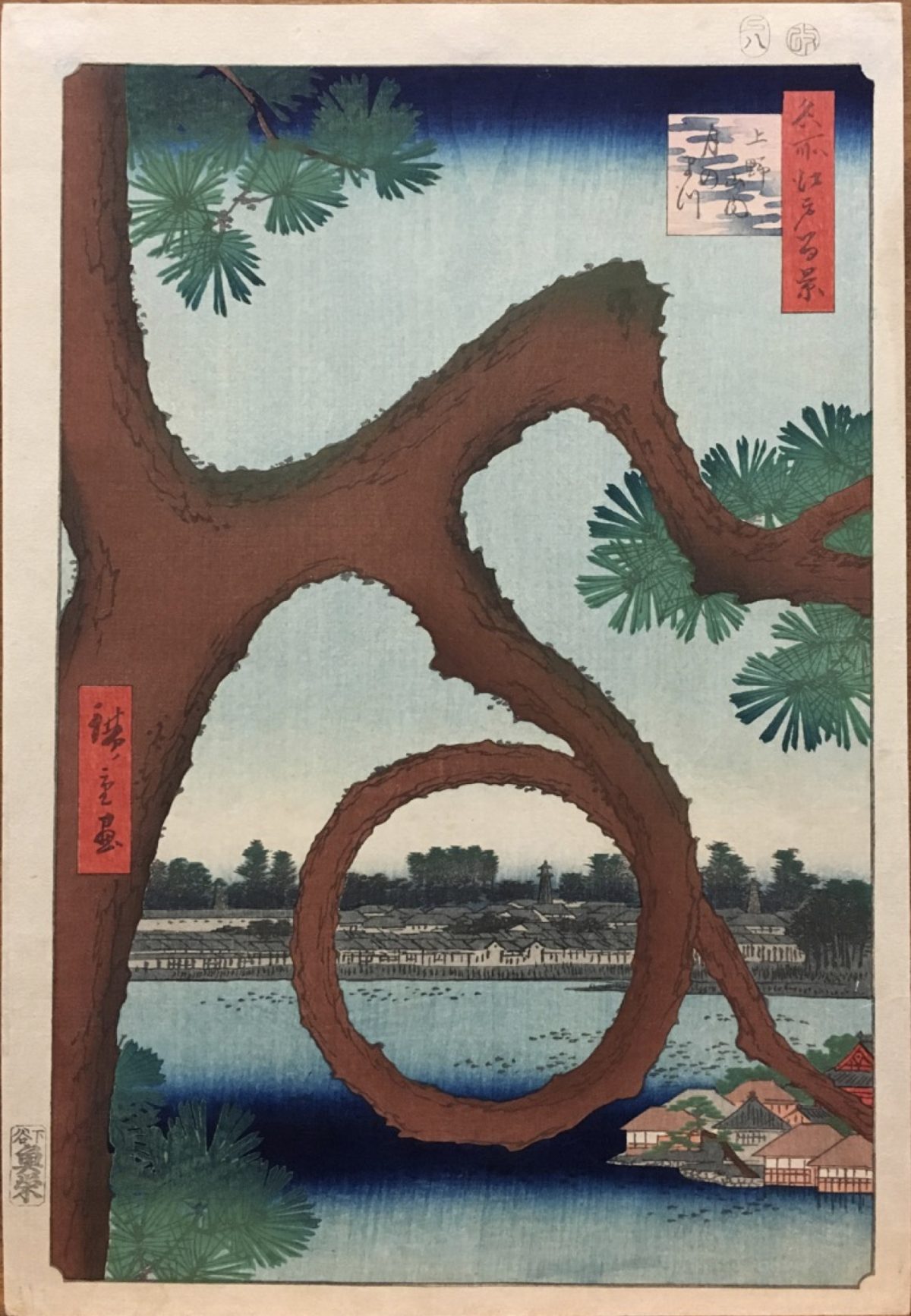 Pine tree mountain water in Japan
