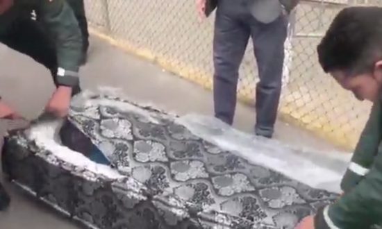 Videos of the Day: Spanish Authorities Cut Open Mattresses to Reveal Illegal Immigrants Hidden Inside