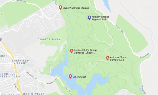 California Woman Arrested for Allegedly Biting Jogger