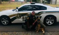Arkansas Department Fires Sheriff’s Deputy After Chihuahua Shooting