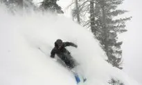 Viral Video: Amish Man Skiing Behind a Horse and Buggy