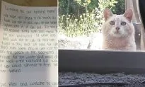 Family Moves Into New Home and Finds Unexpected Note From Old Homeowner to Care for Cat