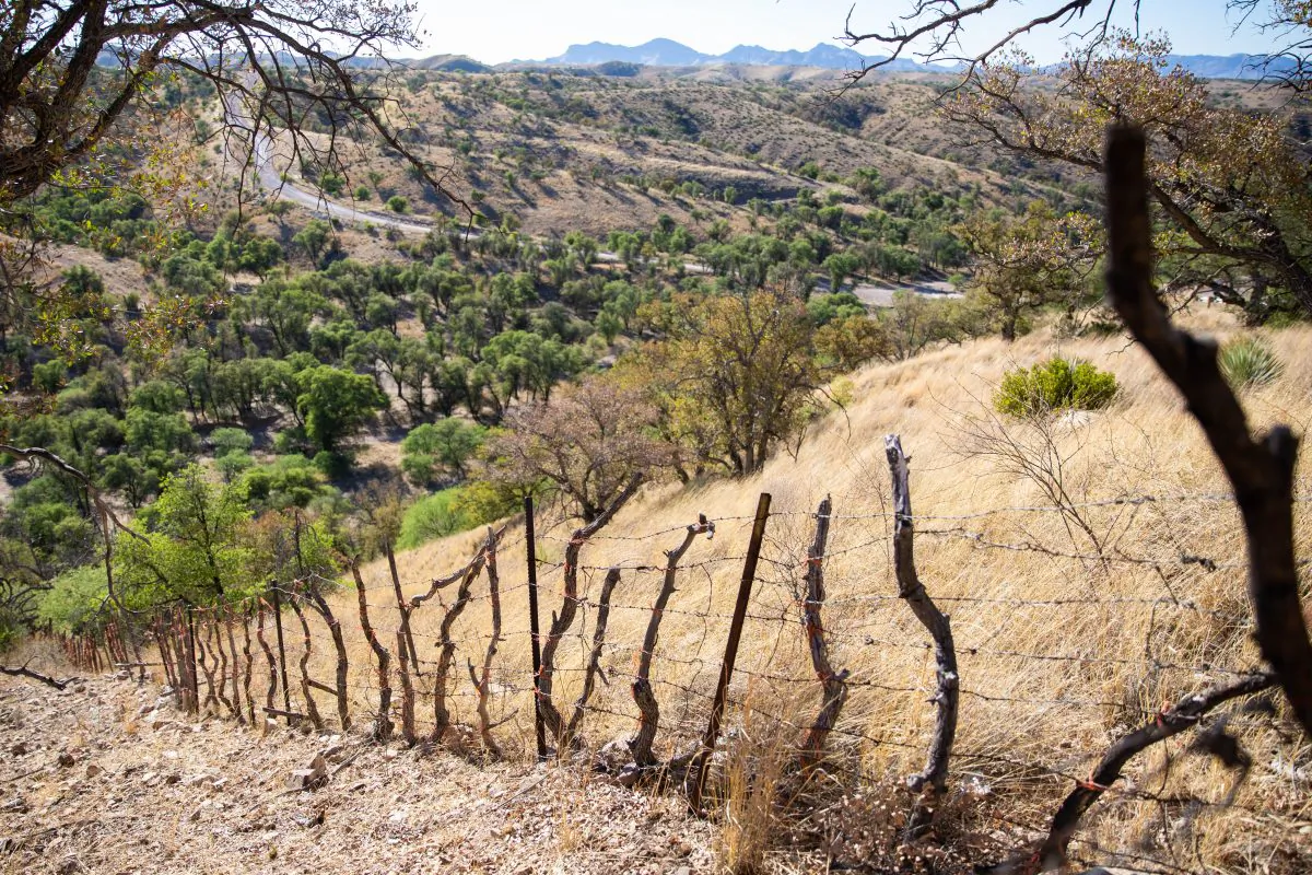 The U.S.–Mexico border, where the border barrier is a small barbed wire fence, west of Nogales, Ariz., on May 23, 2018. The U.S. is on the right side of the fence. (Samira Bouaou/The Epoch Times)