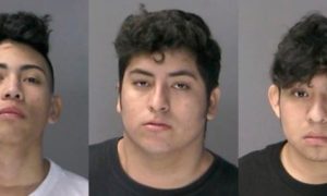 New York Teenager Stabbed by MS-13 Members Who Were Released by Judge: Police