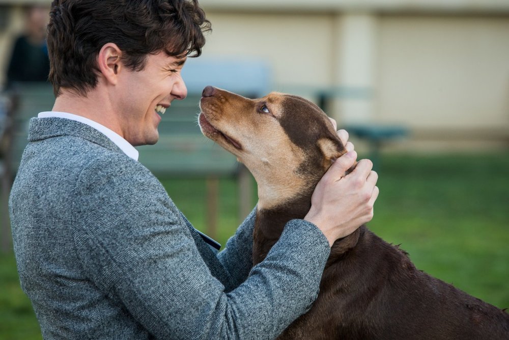 Lucas and Bella, owner and dog